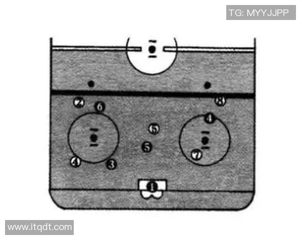 广州排球队区域防守战术解析与深度剖析
